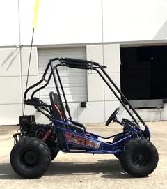 Trailmaster Mini XRX+ 2- Seater GO-KART EAGLE SERIES 163cc Blues. - Image 2