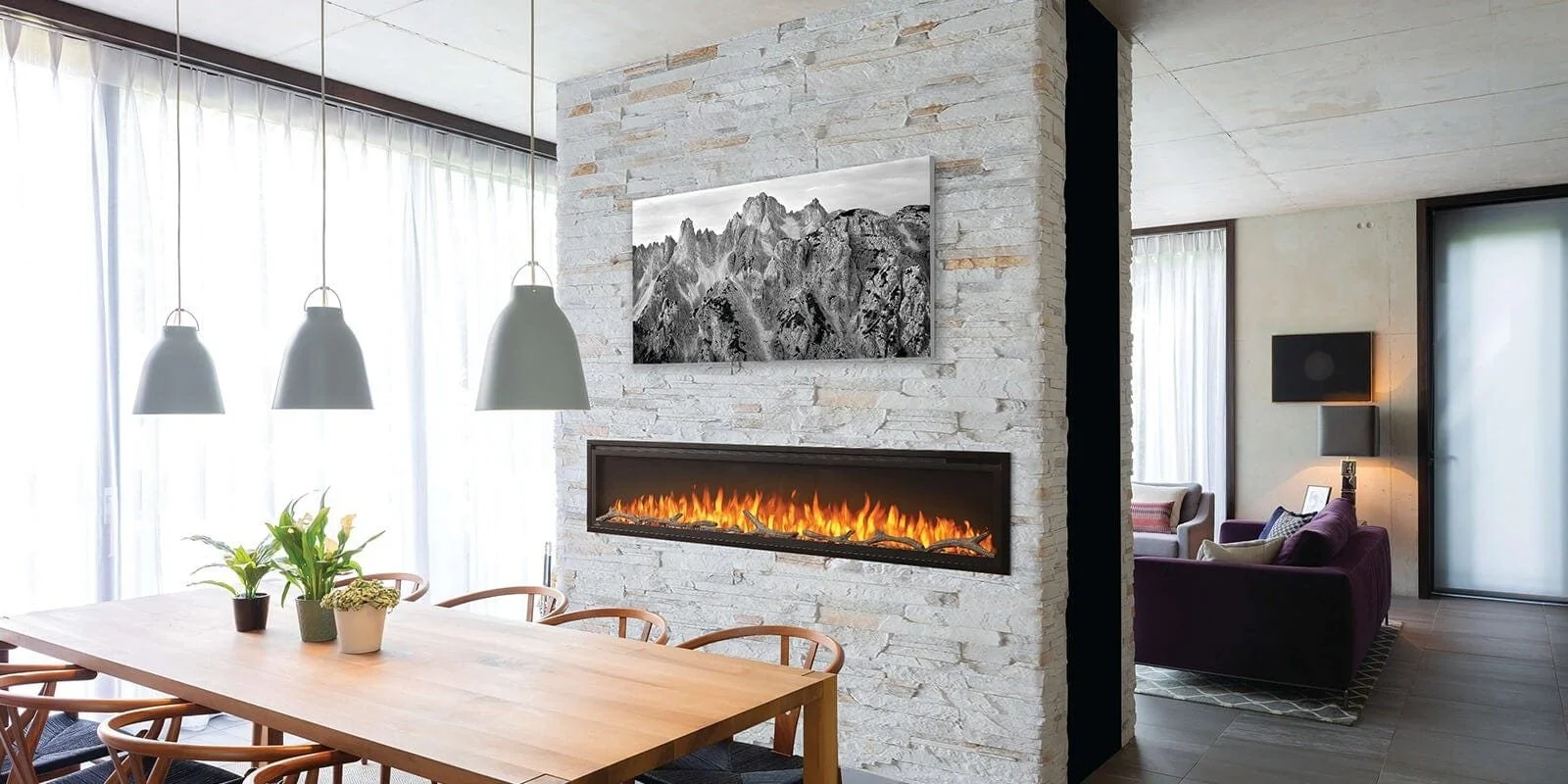 Napoleon Entice 60 Wall Hanging Electrics Fireplaces - Image 6