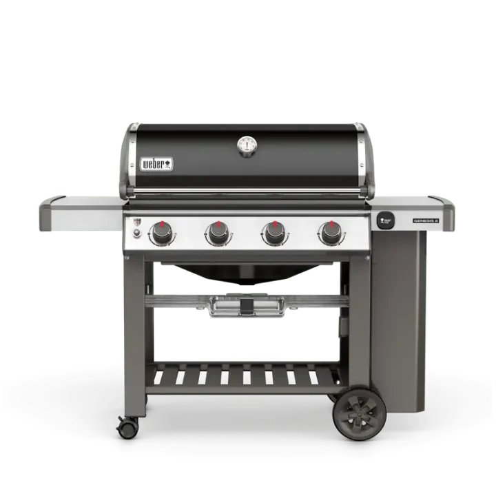 Weber Genesis II E-410 NGs